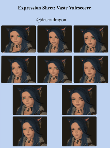Expression Sheet